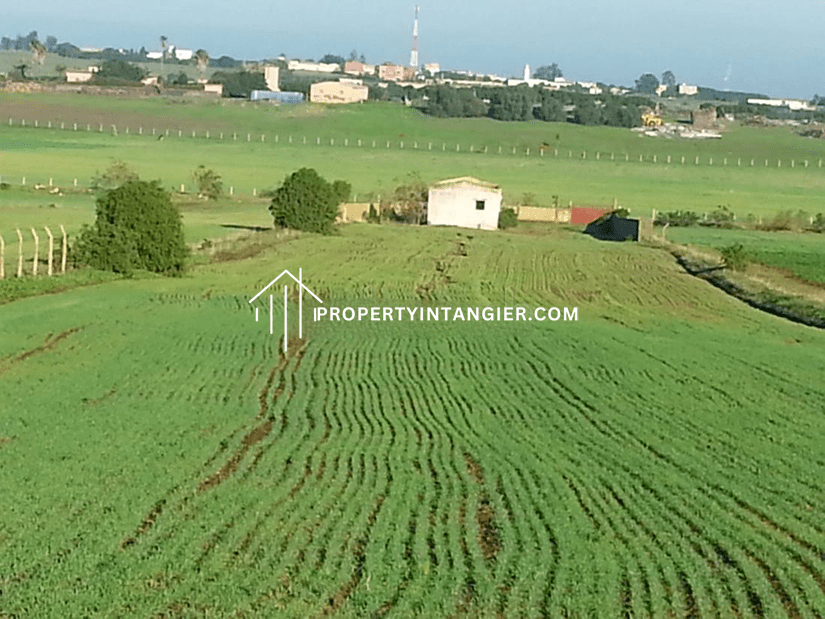 Nice farms for sale in Kankouch, Tangier 2023