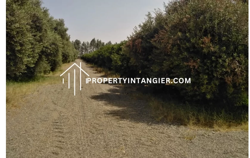 Ferme à vendre 17 hectares à Tanger, Kasbah 2023
