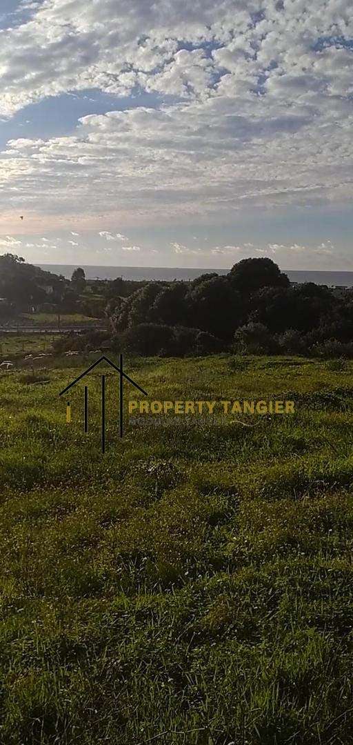 Land For sale in Azib Haj Kaddour – Tangier