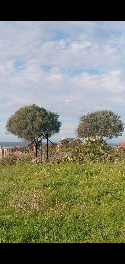 Land For sale in Azib Haj Kaddour – Tangier