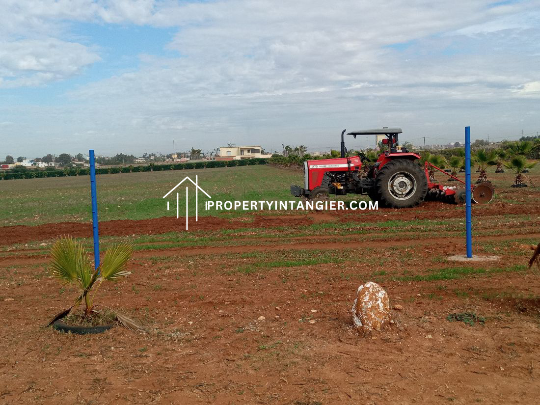 Nice farm for sale in Malabata, Tangier. Total area 70000 m²