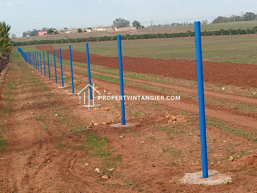 Nice farm for sale in Malabata, Tangier. Total area 70000 m²