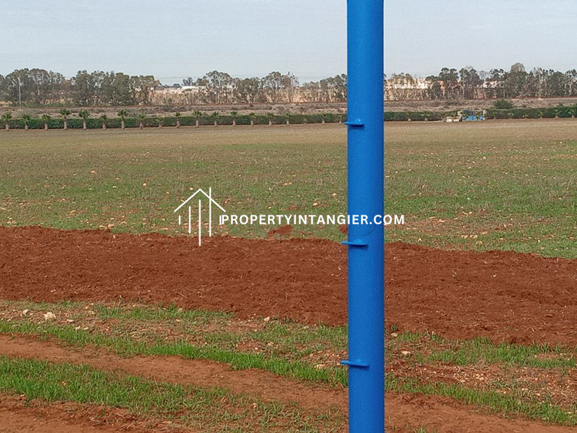Nice farm for sale in Malabata, Tangier. Total area 70000 m²