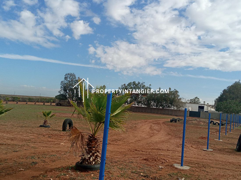 Nice farm for sale in Malabata, Tangier. Total area 70000 m²