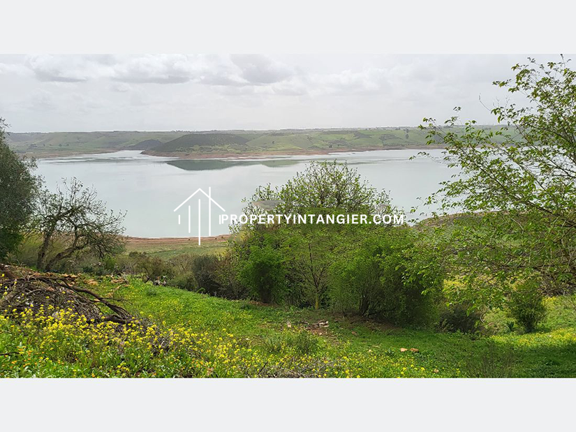 Farm for sale in Iberia, Tangier 2023