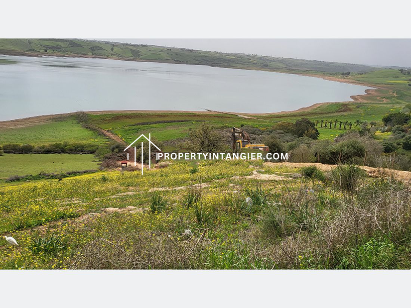 Farm for sale in Iberia, Tangier 2023