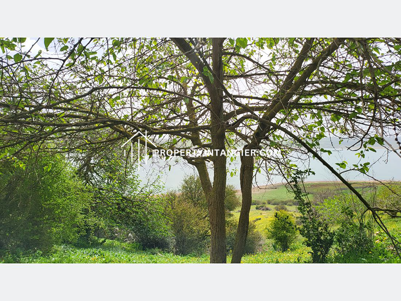 Farm for sale in Iberia, Tangier 2023