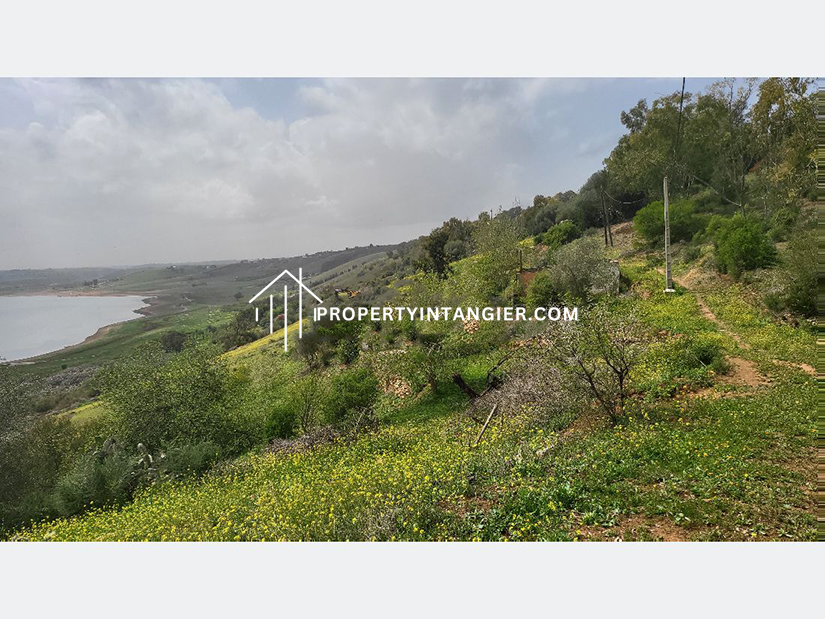 Farm for sale in Iberia, Tangier 2023