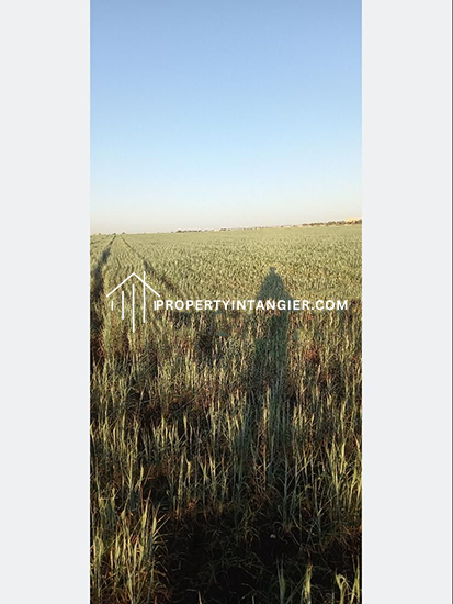 Farm on sale Ouad Daylan, Tangier 2023