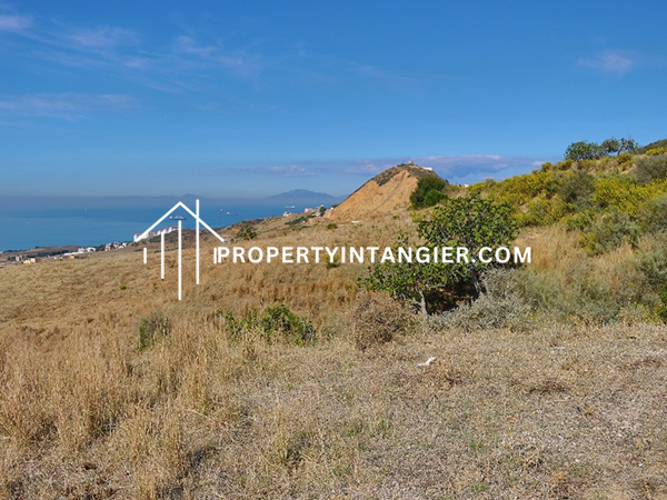 Farm on sale in Manar, Tangier 2023