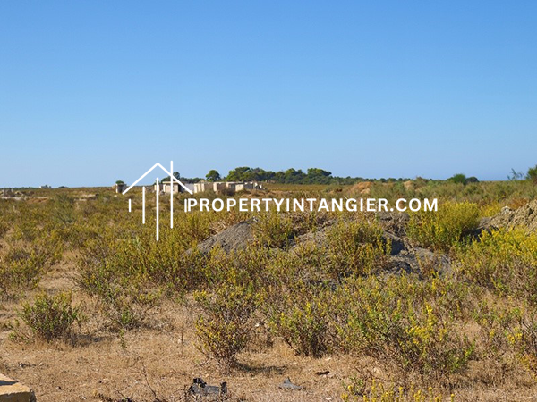 Farm on sale in Manar, Tangier 2023