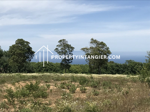 Farm on sale in Manar, Tangier 2023