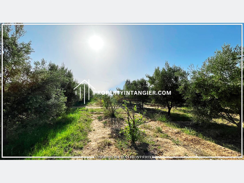 Find your farm to buy in Route d’Agadir 2023
