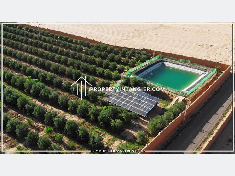 Find your farm to buy in Route d’Agadir 2023