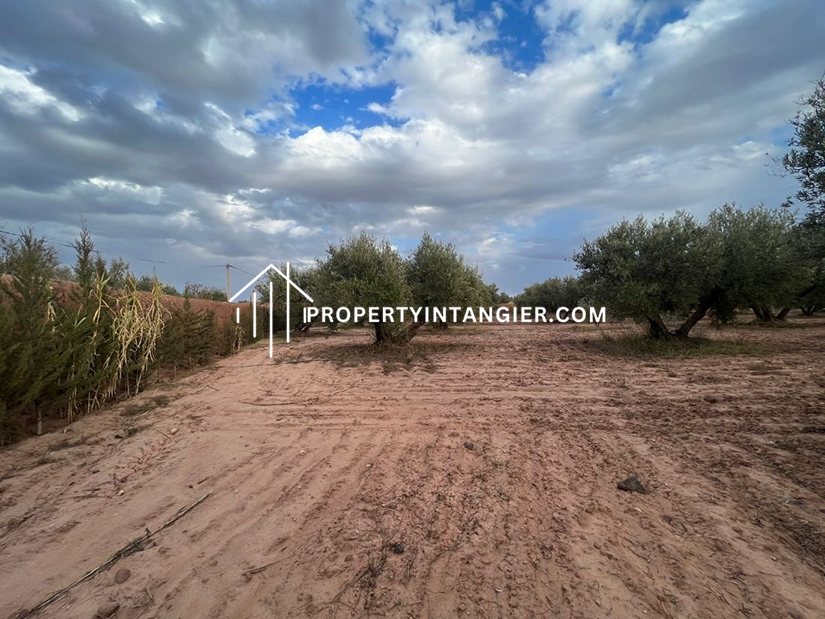 Buy a farm in Manar. Area 25000 m²