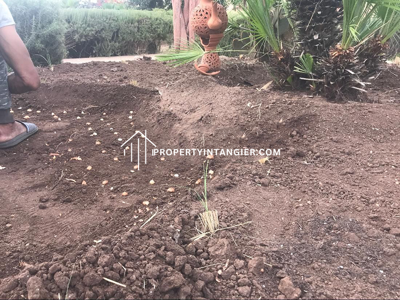 Farm for sale in Sebt Zinat, Tangier 2023