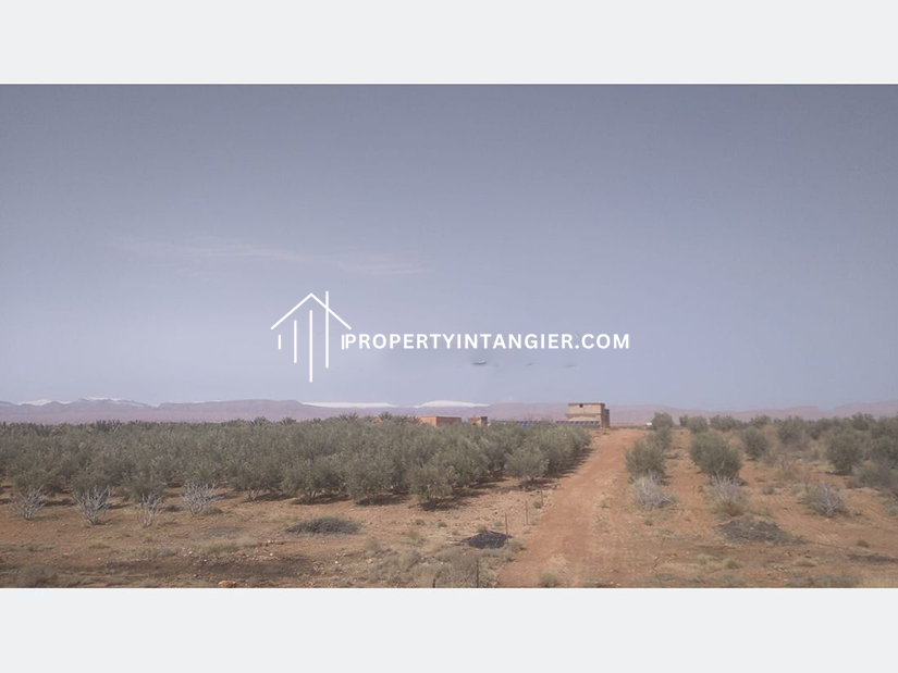 Farm for sale in Ouad Dalyan,Tangier 2023