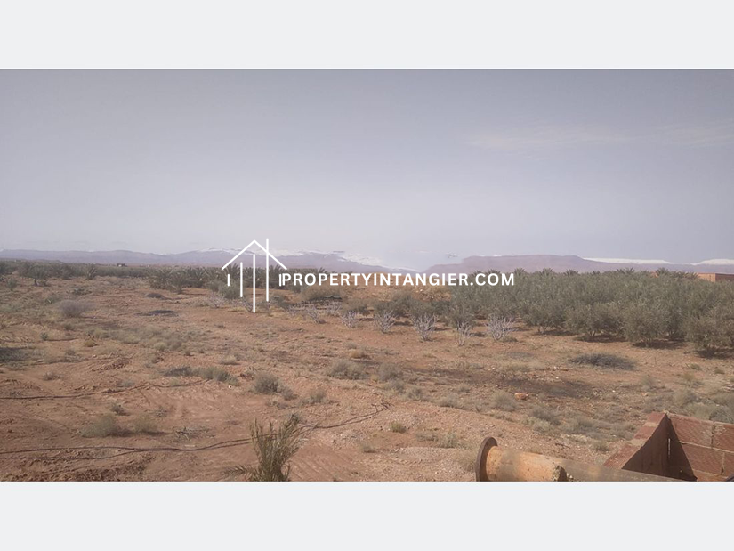 Farm for sale in Ouad Dalyan,Tangier 2023
