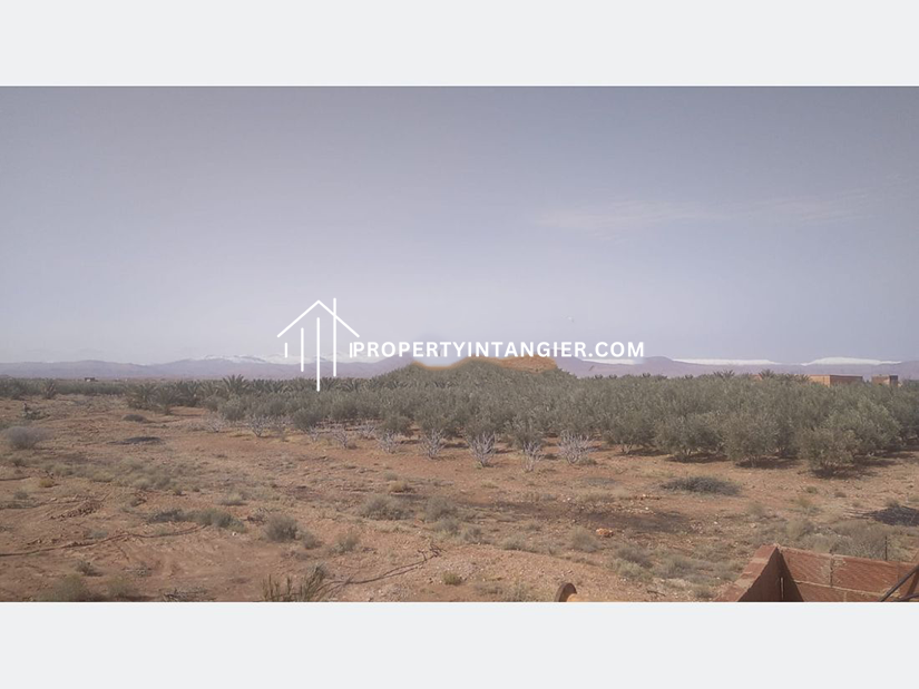 Farm for sale in Ouad Dalyan,Tangier 2023