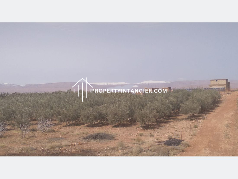 Farm for sale in Ouad Dalyan,Tangier 2023