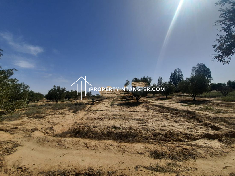 Farmland to buy in Ouad Dalyan, Tangier 2023