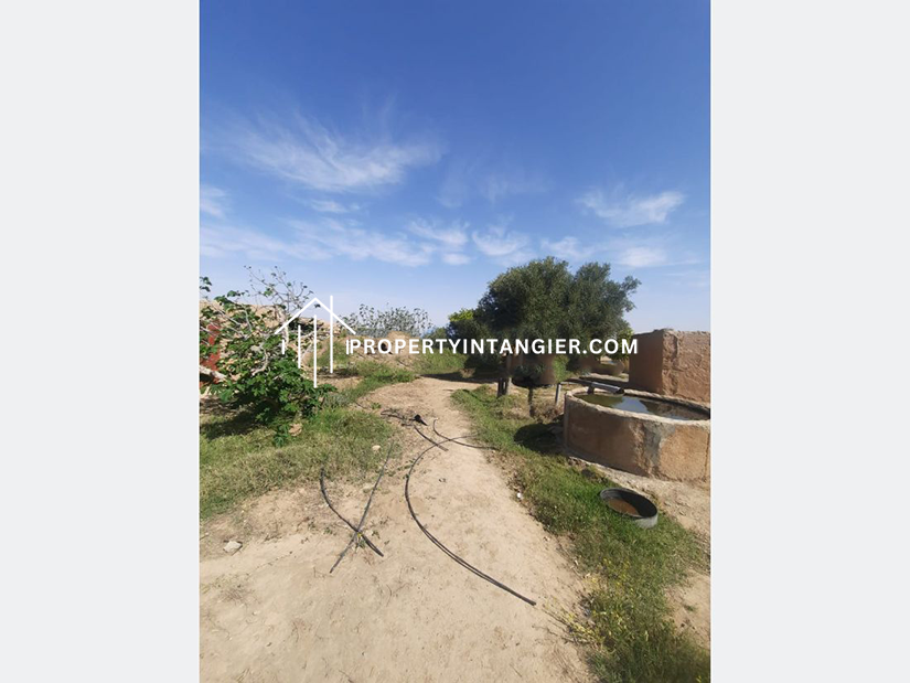 Farmland to buy in Ouad Dalyan, Tangier 2023