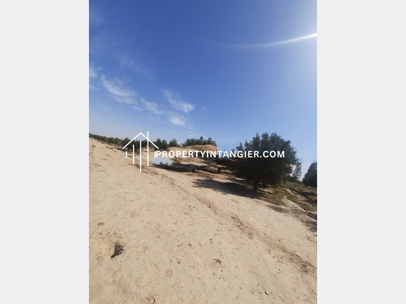 Farmland to buy in Ouad Dalyan, Tangier 2023