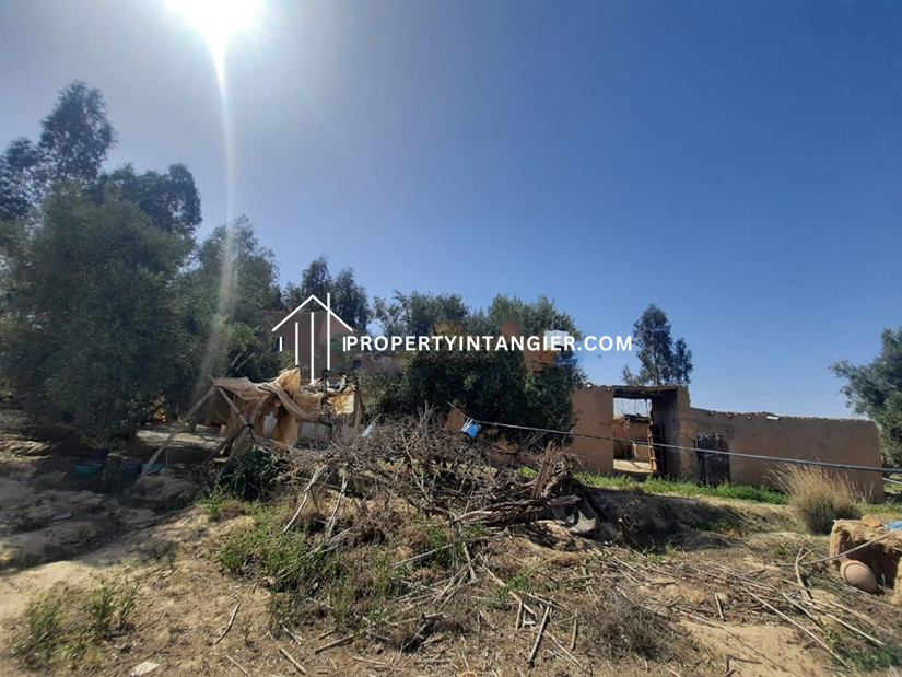 Farmland to buy in Ouad Dalyan, Tangier 2023