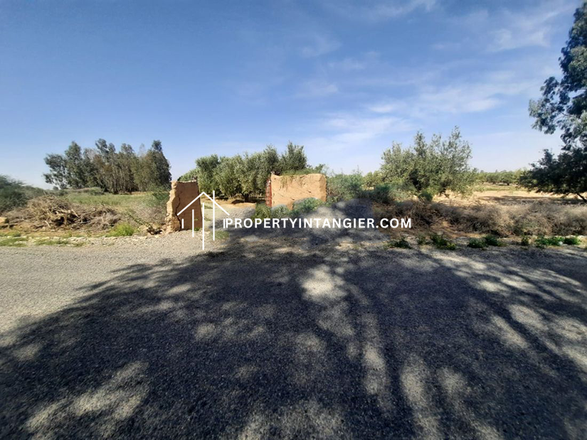 Farmland to buy in Ouad Dalyan, Tangier 2023