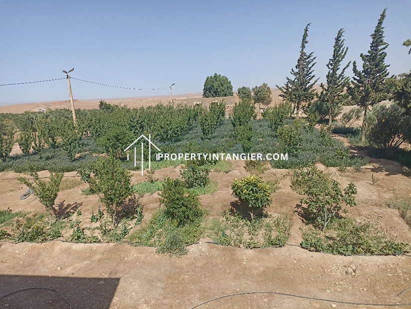 Large farm for sale Sebt Zinat, Tangier 2023