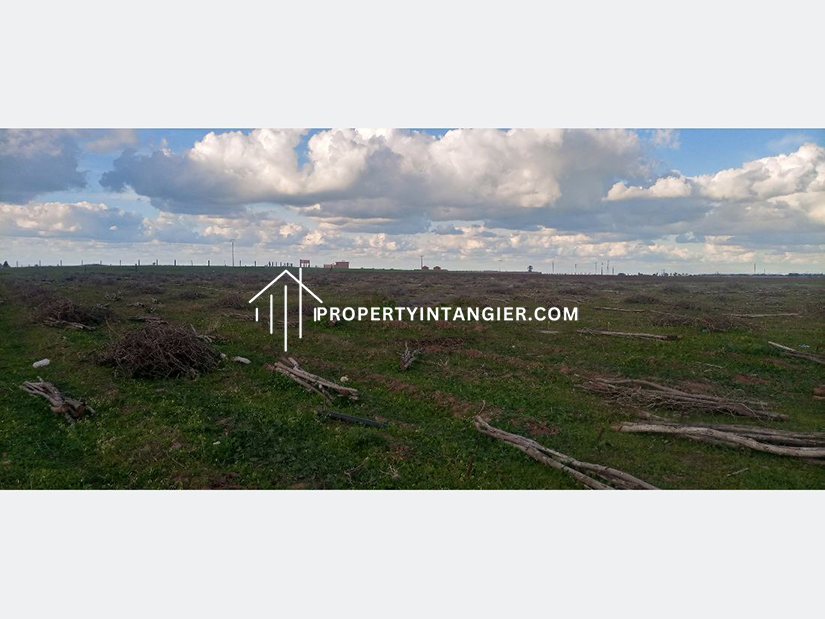 Purchase a farm in Sebt Zinat, Tangier 2023