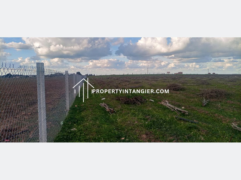 Purchase a farm in Sebt Zinat, Tangier 2023