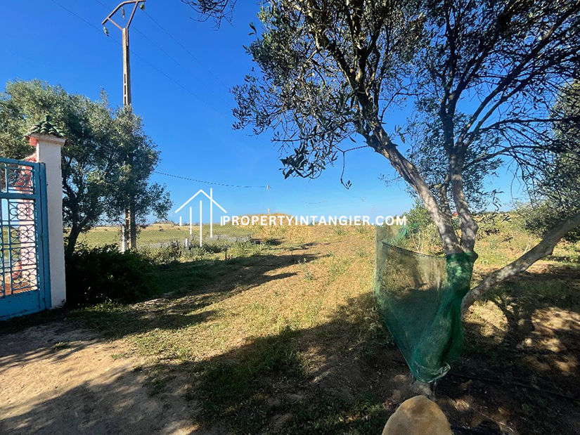 Farmland to buy in Sebt Zinat, Tangier 2023