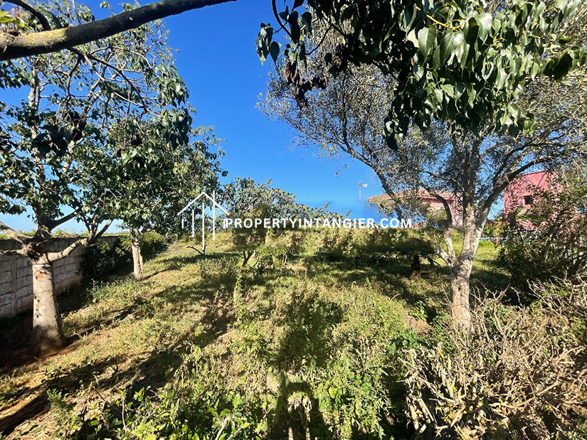 Farmland to buy in Sebt Zinat, Tangier 2023