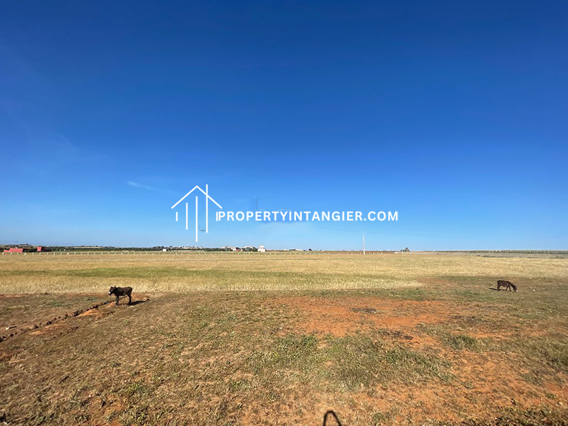 Farmland to buy in Sebt Zinat, Tangier 2023