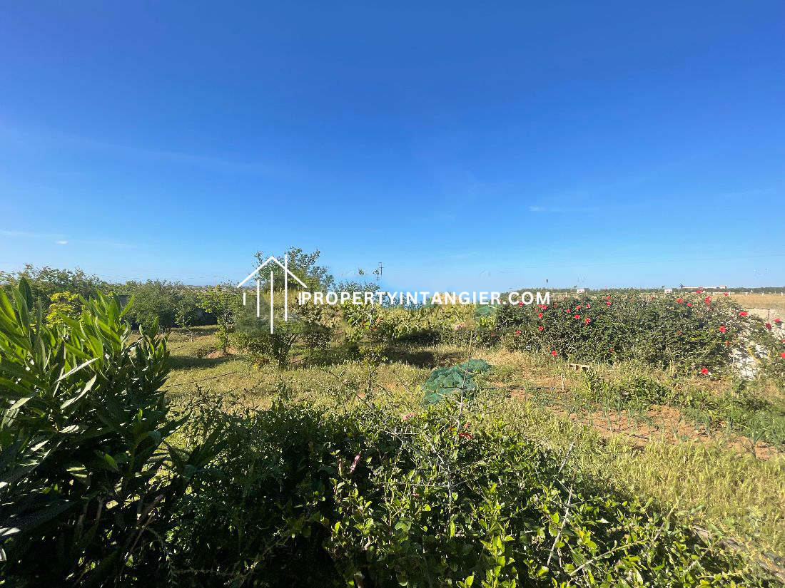 Farmland to buy in Sebt Zinat, Tangier 2023