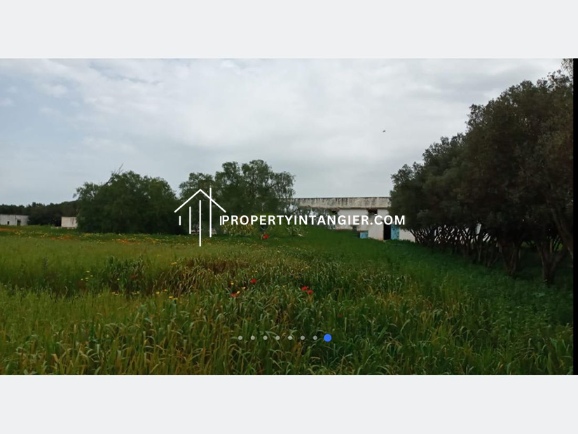 Ferme agricole à Berrechid 1.72 Ha ضيعة فلاحية