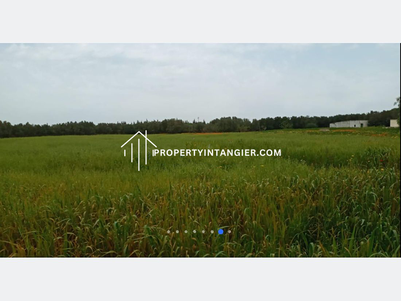 Ferme agricole à Berrechid 1.72 Ha ضيعة فلاحية