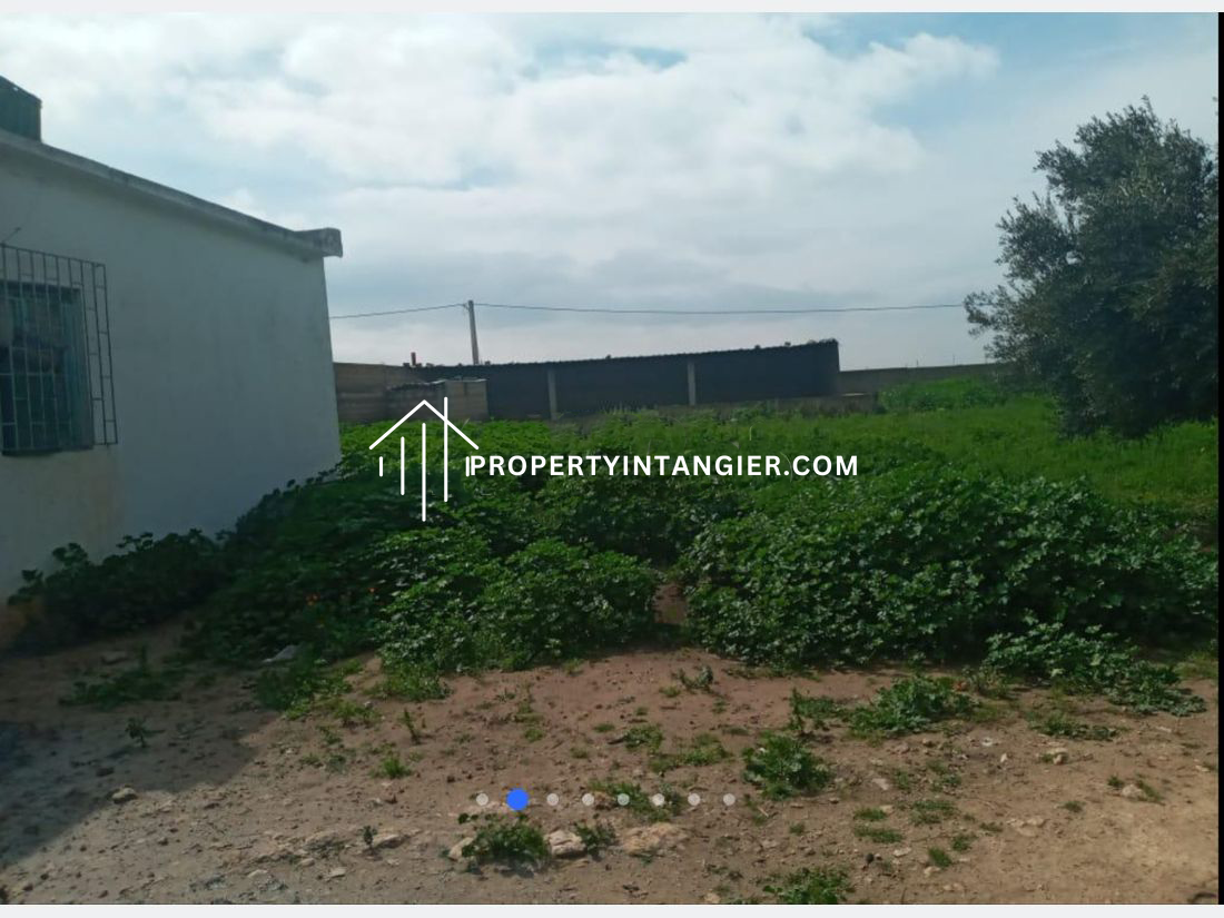 Ferme agricole à Berrechid 1.72 Ha ضيعة فلاحية