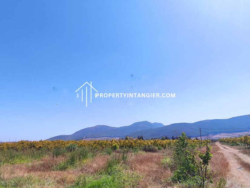 Nice farm to purchase in Iberia, Tangier 2023