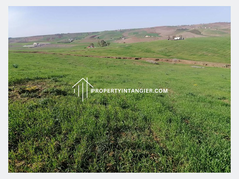 Farm to buy Ouad Daylan Tangier 2023