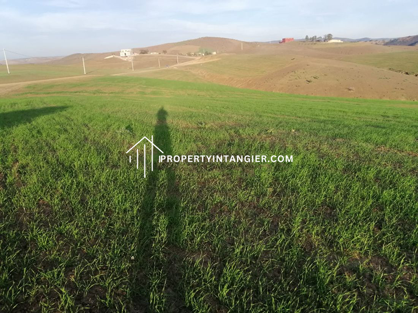Farm to buy Ouad Daylan Tangier 2023
