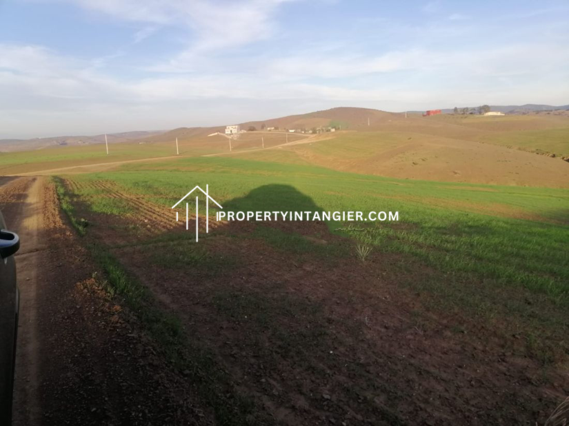 Farm to buy Ouad Daylan Tangier 2023