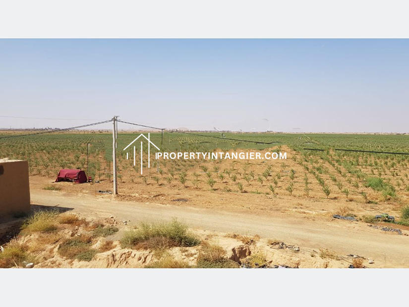 Purchase a farm in Harhoura, Tangier 2023
