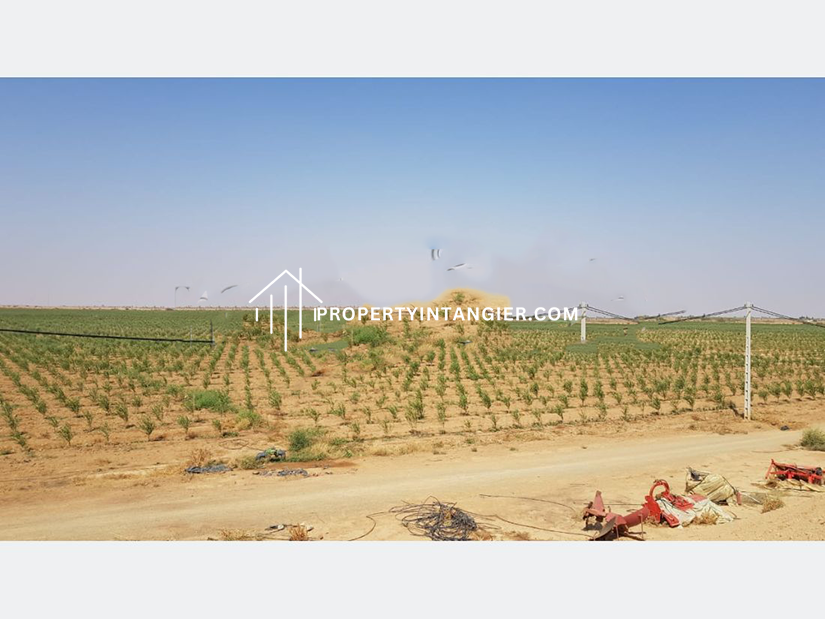 Purchase a farm in Harhoura, Tangier 2023