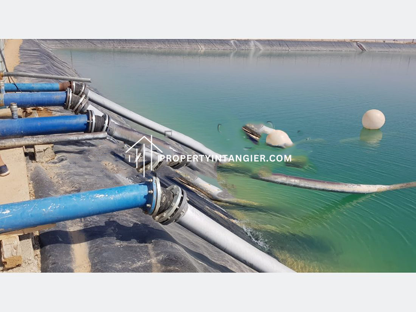 Farm to buy in Sebt Zinat, Tangier 2023