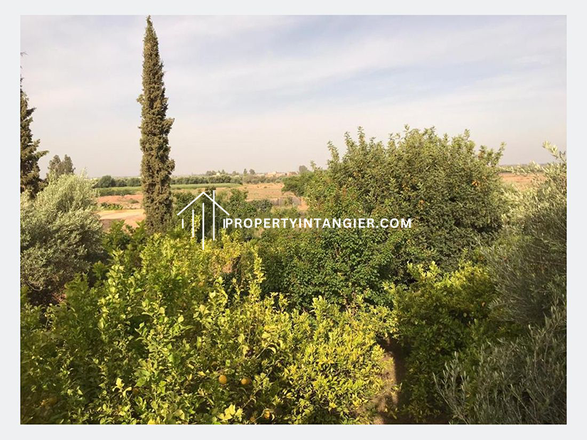 Farm for sale in Route de l’Ourika, Marrakech 2023