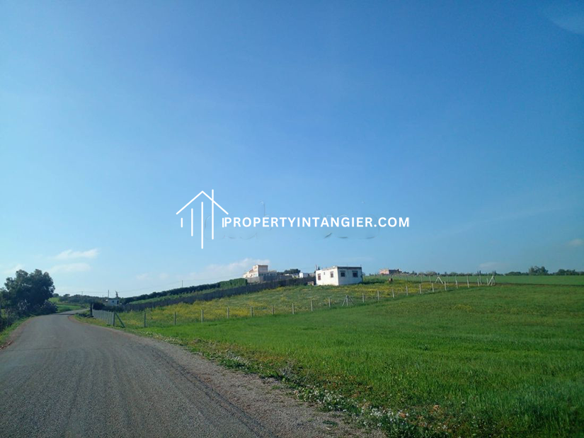 Farm to buy in Sebt Zinat, Tangier 2023