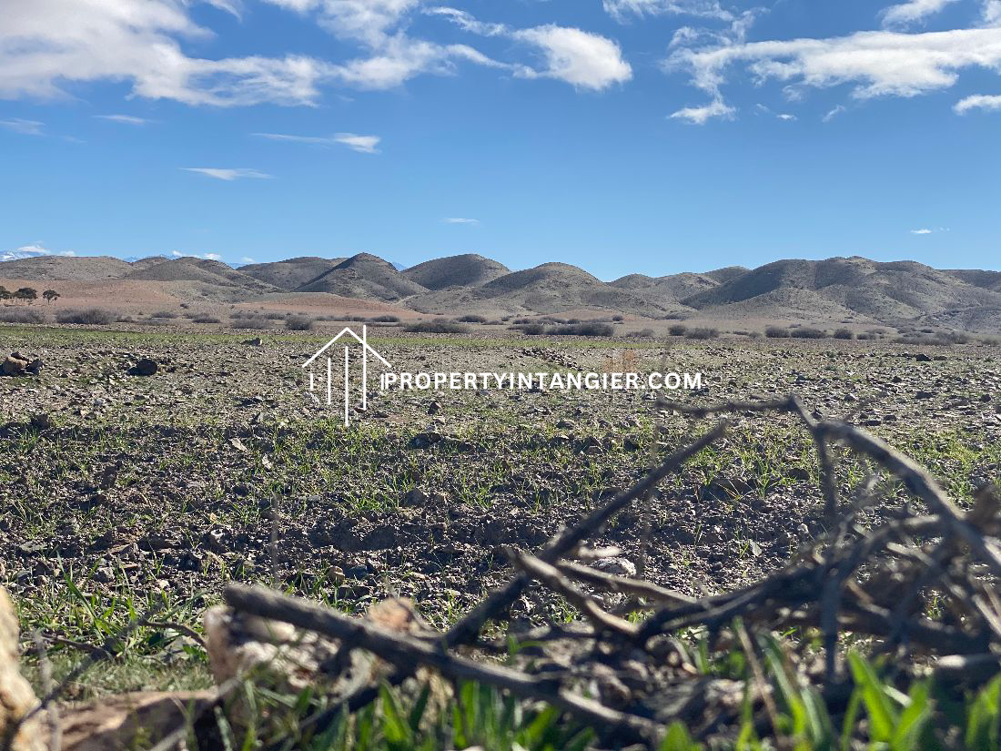 Purchase farm in Manar, Tangier. Area 71000 m².