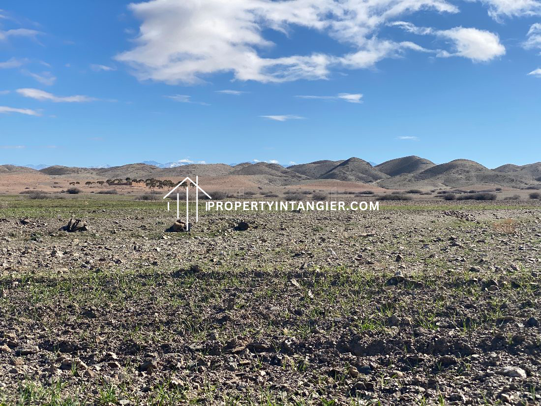 Purchase farm in Manar, Tangier. Area 71000 m².